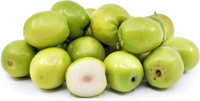Obtazek ovoce jujube